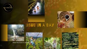 Ubud in a Day